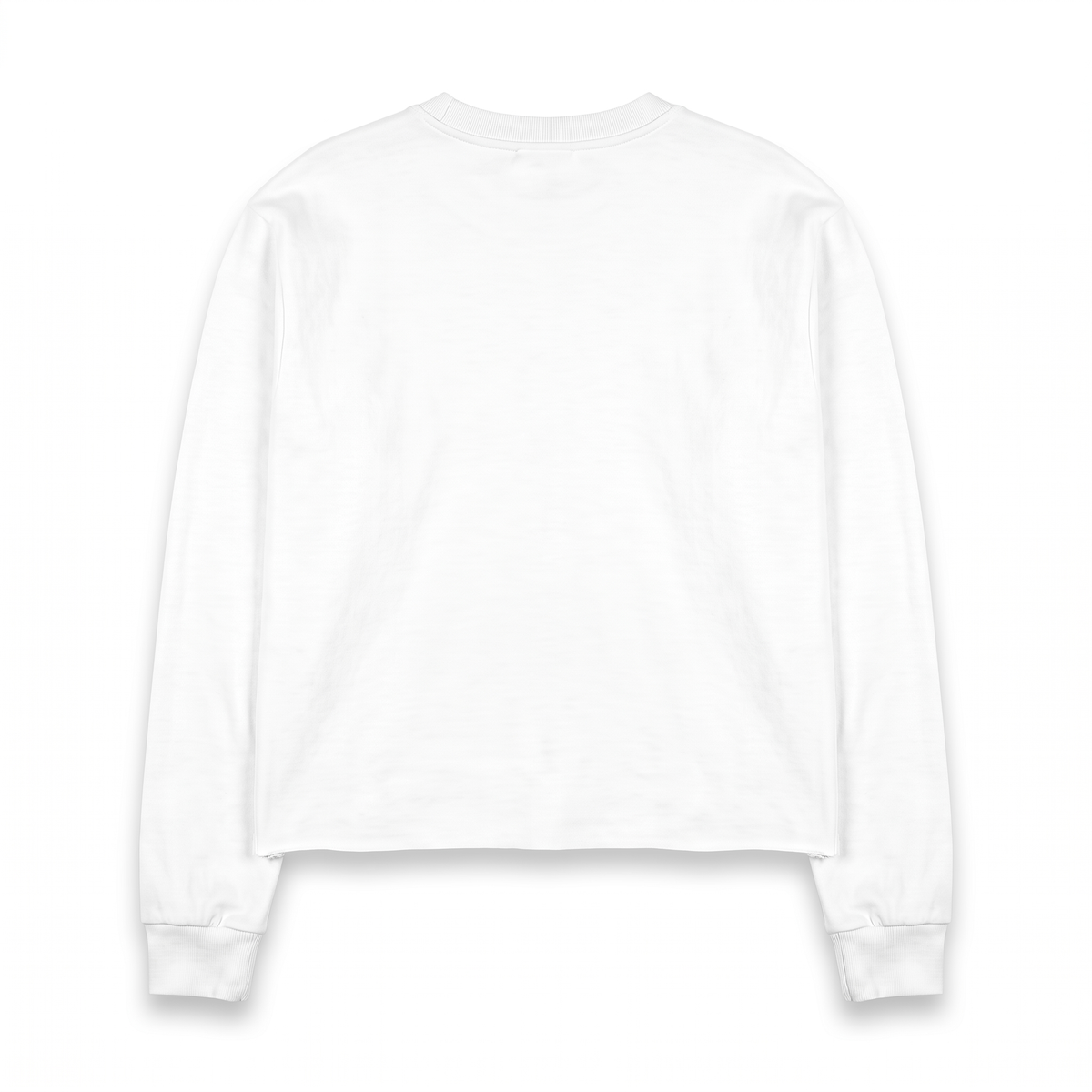 LONGSLEEVE USA FLAG